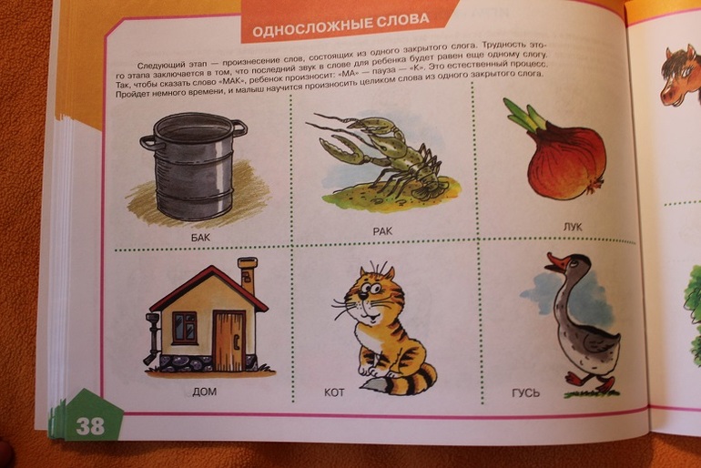 Развитие речи и кругозора с 1 годика