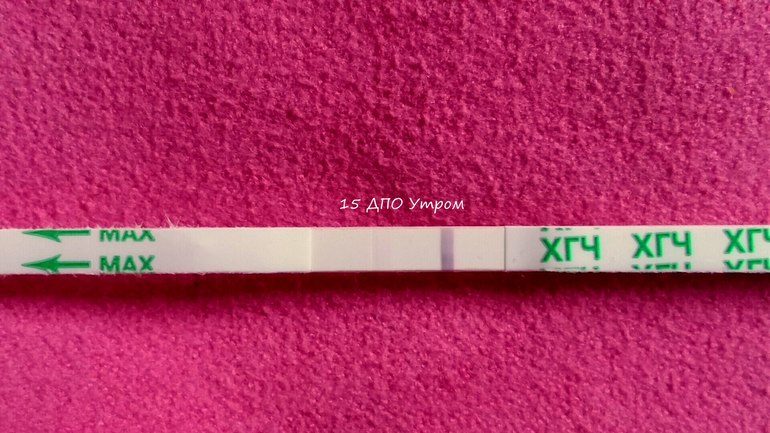 15 ДПо 32 дц 01.02.16. — 13 ответов | форум Babyblog