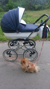 Продается Bebe Mobile Santana 2 в 1 Deluxe Len Eco