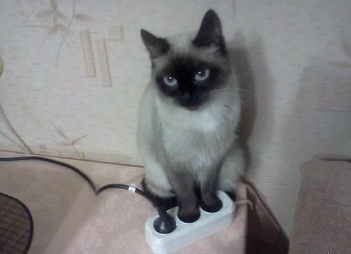 юмор