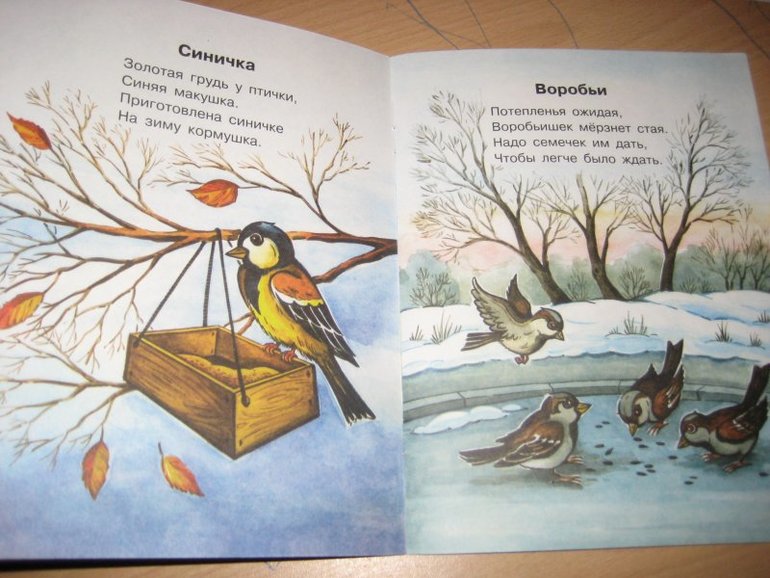 10 книг на тему ПТИЦЫ.