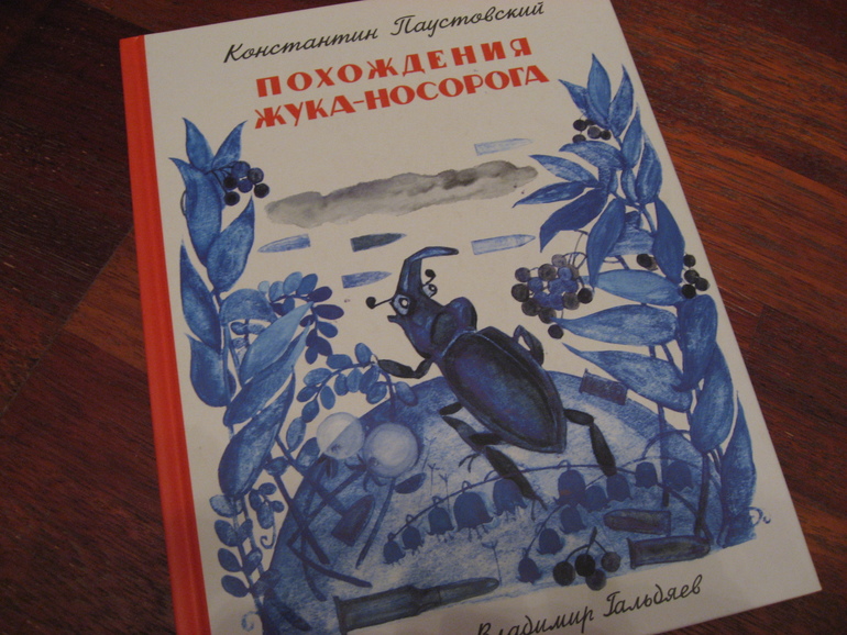 Похождение жука носорога слушать. Жук носорог Паустовский. Жук – носорог (к. Паустовский «похождения жука-носорога»). Похождения жука-носорога Паустовский иллюстрации.