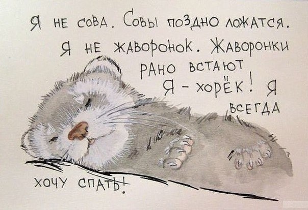 Про меня )