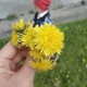 Беназир Ахмедова