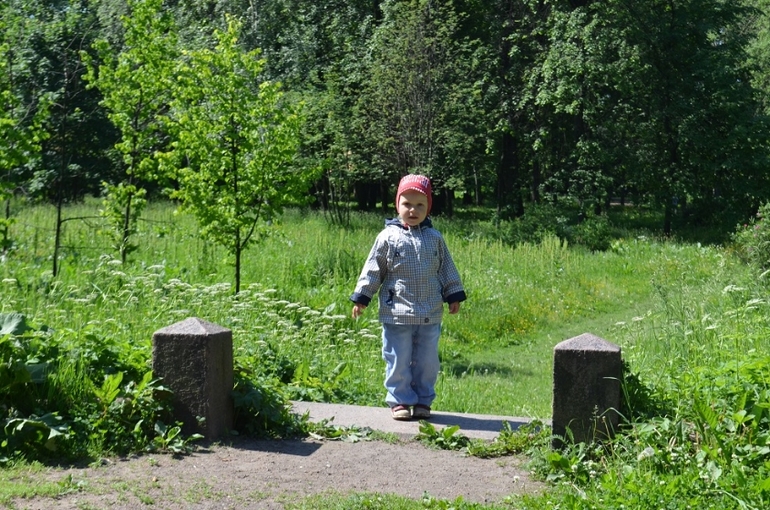 Санкт-Петербург, 7 - 14 июня 2014 год