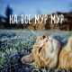 Ксения