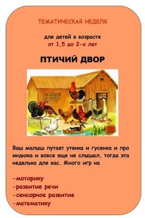 ГОТОВЫЙ ПЛАН Тематических неделек и Занятий