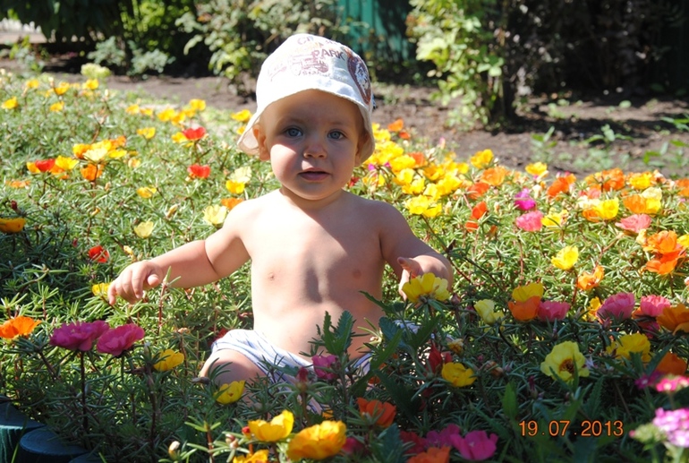 Фотоотчет о нашем лете)