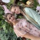 Александра Самардак