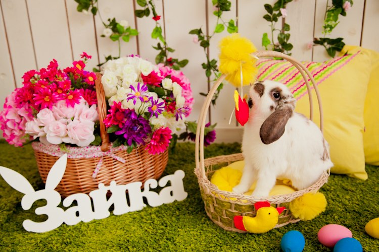 Пасха