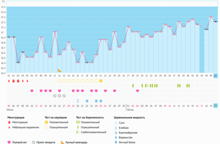 Беременный график бт фото