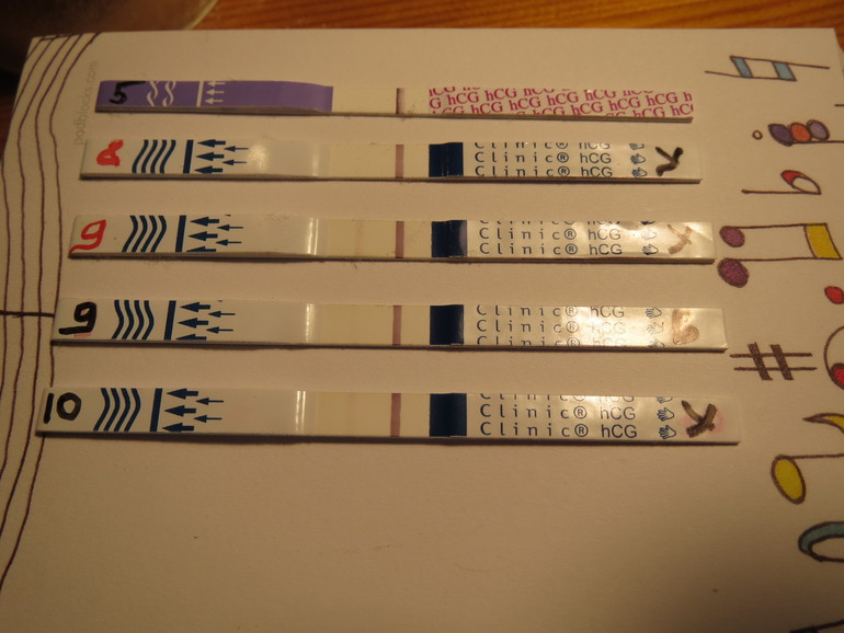 f25a5dbde071bc43ccc50ad17100ab27.jpg