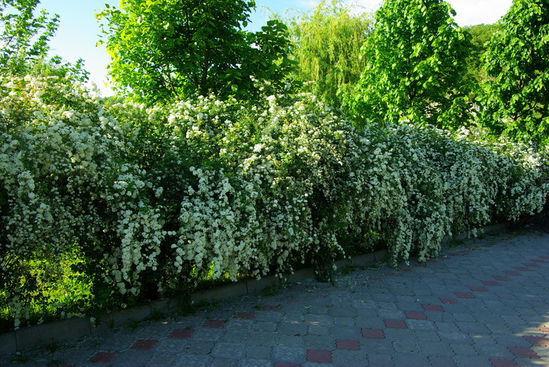 Абрау Дюрсо май 2014