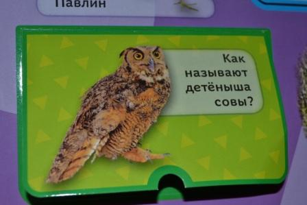 ТД