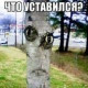 Кристина Стрельникова