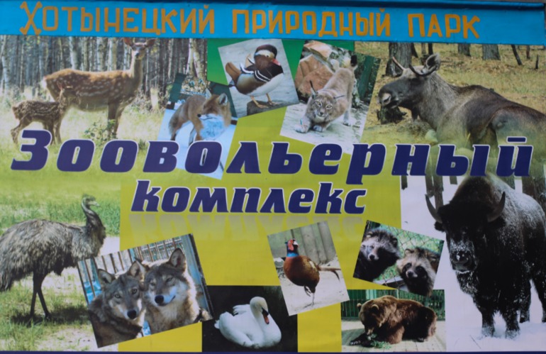 Наш отдых в выходные.