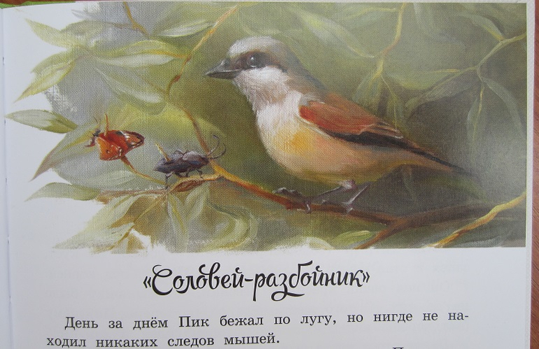 Мышонок Пик