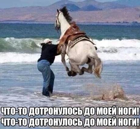 Улыбайся, улыбайся...)))