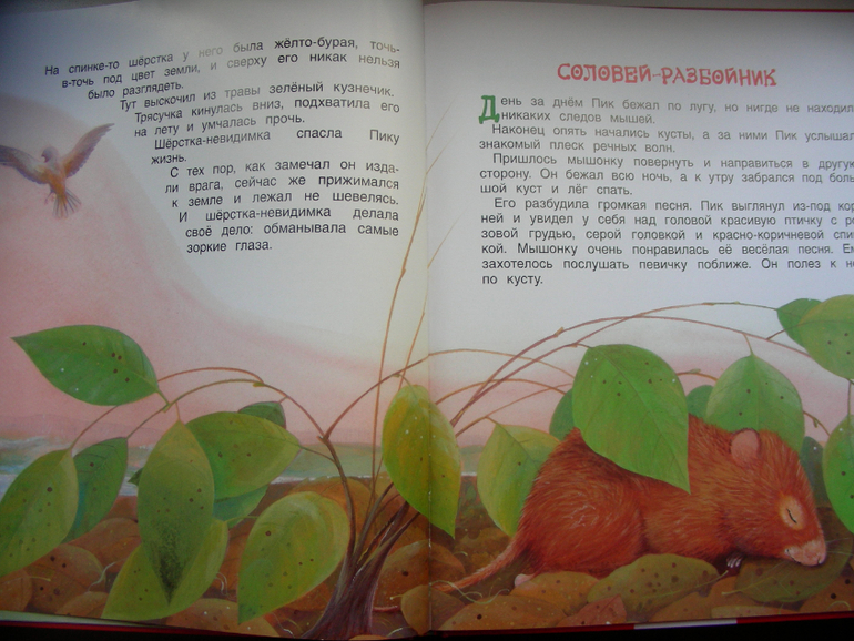 Мышонок Пик В. Бианки Росмэн