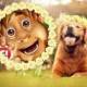 Надя Янголятко