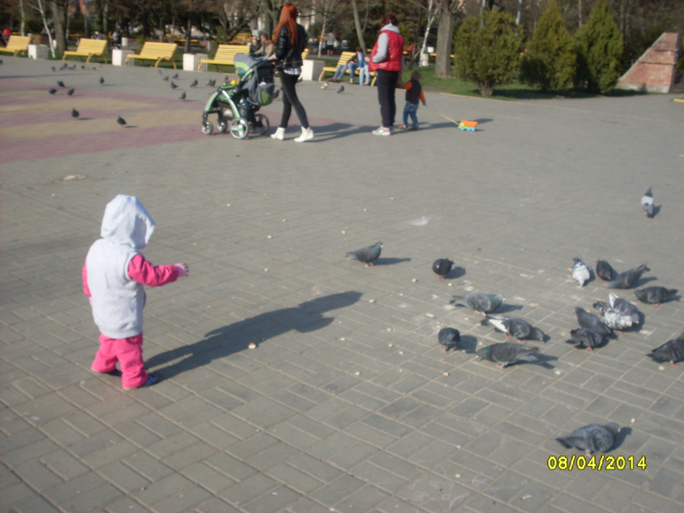 bdc6fe650ddd07c3f11c398aa5e9216c.jpg