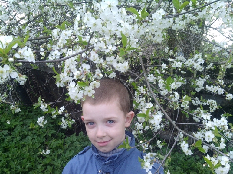 Фоточки