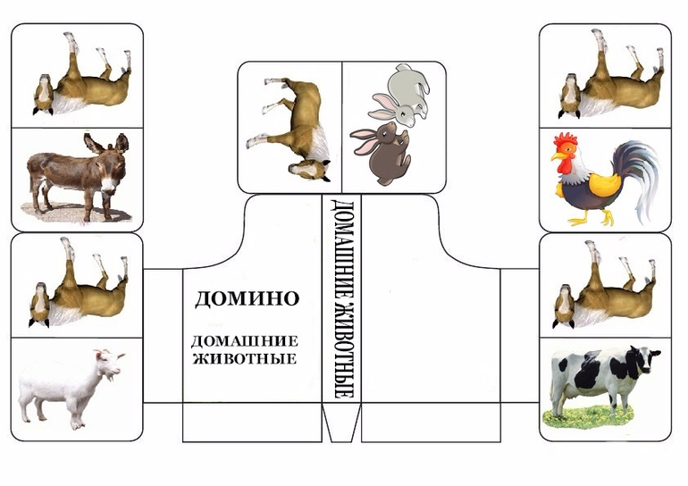 Проект на ватмане домашние животные