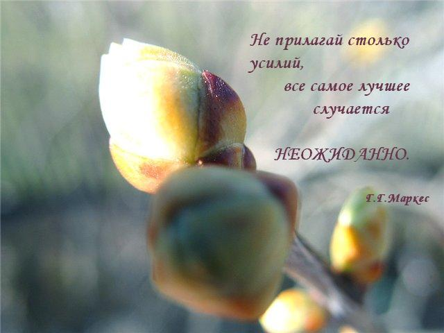понравились картинки
