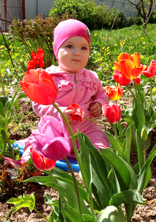 8 месяцев 18 днейЮле