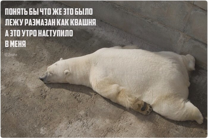 8bfc6ab7558850bb1671145e7c8c5981.jpg