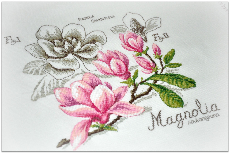 Магнолия, Véronique Enginger