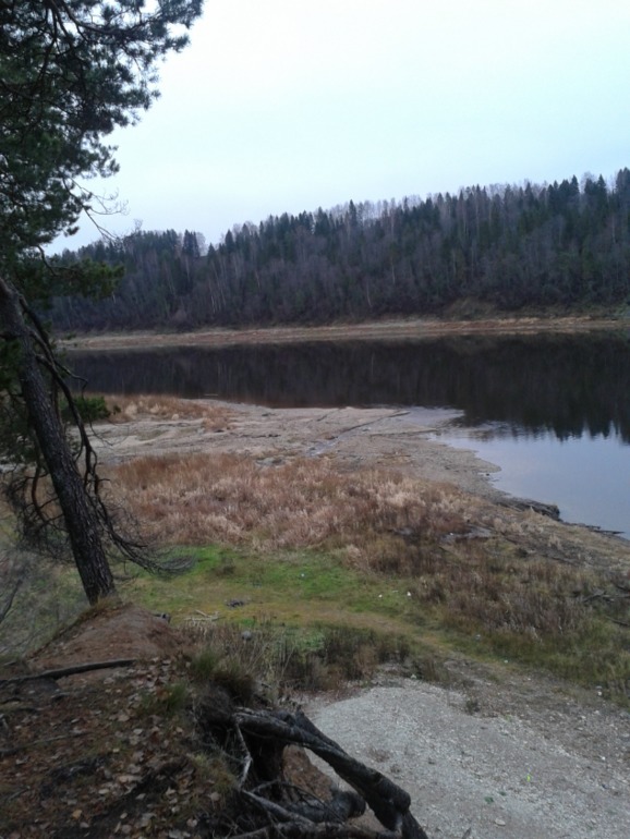 наша осенняя прогулка под дождем
