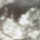 nanuka