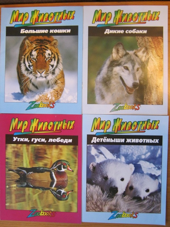 ЁЖИК в тумане…