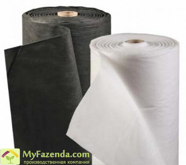 Укрывной материал черный 60 гр. (10*1,6 м)