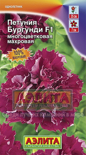 Петуния Бургунди F1