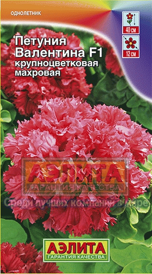 Петуния Валентина F1