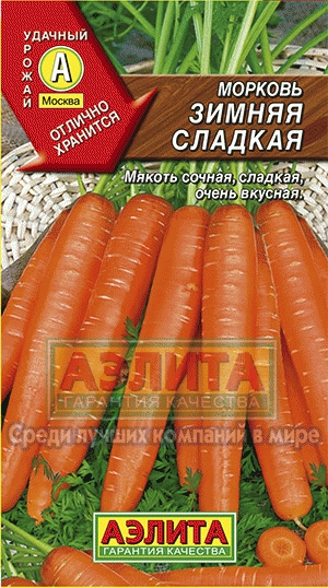 Морковь Зимняя сладкая