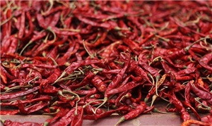 Перец на веревке острый 200гр