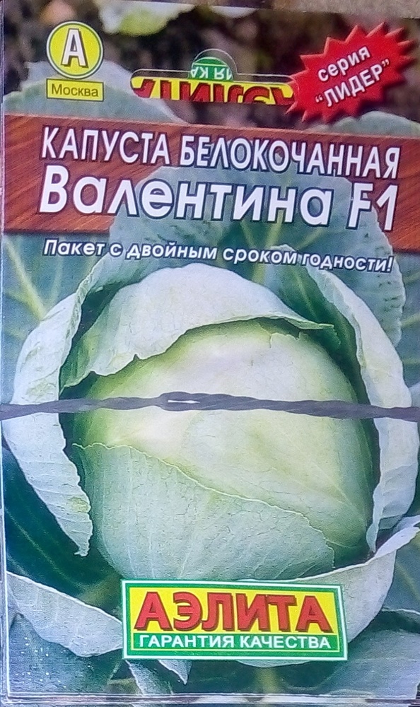 белокочанная капуста сонник белокочанная капуста сонник