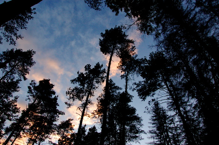 Одноночный многодетный поход