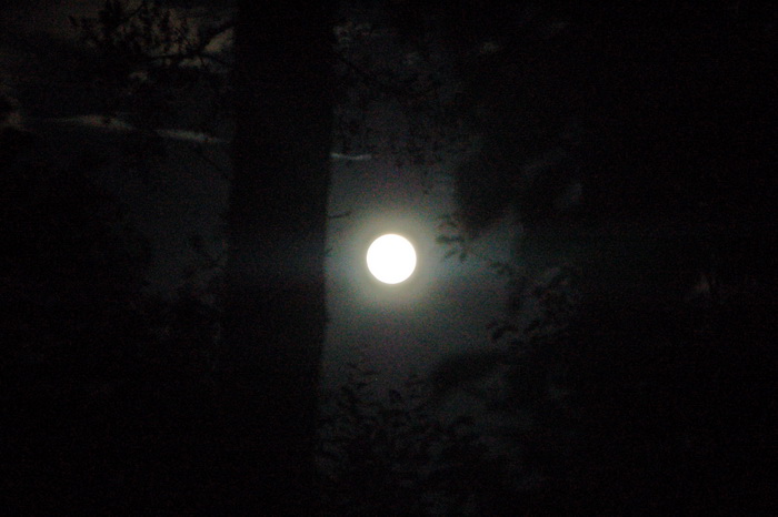 Одноночный многодетный поход