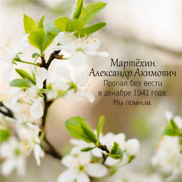 Акция "Парад памяти" .