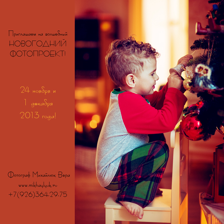 Новогодний фотопроект 2014 года