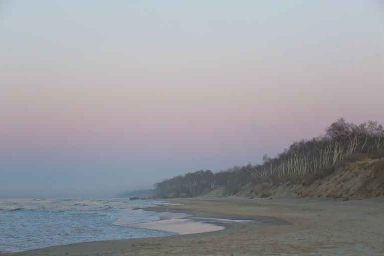 Калининград. Февраль 2014 года. Отчет :)