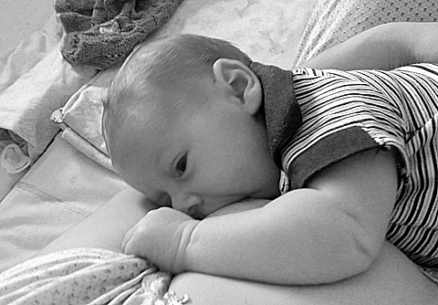 Лучику исполнился 1 месяц!