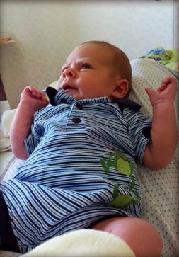 Лучику исполнился 1 месяц!