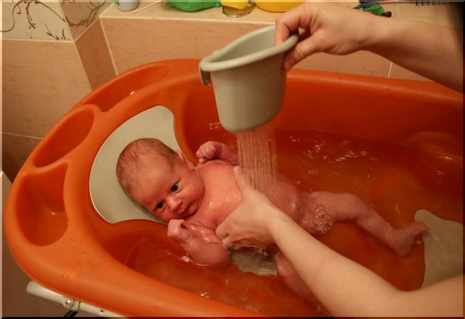 Лучику исполнился 1 месяц!