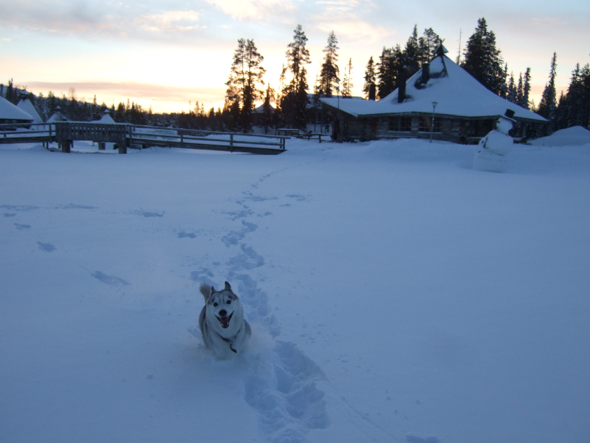 Наш январь. Часть 3