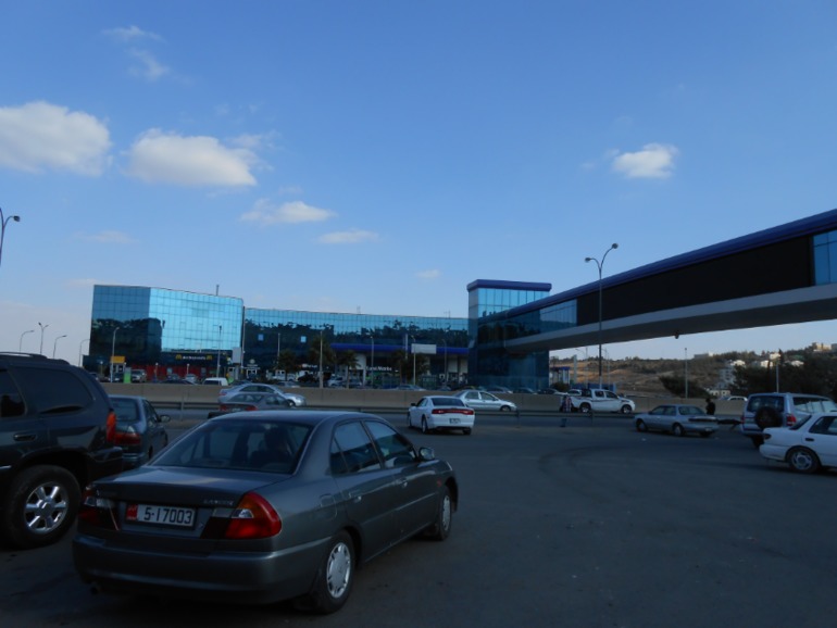 бараны и овцы , амман